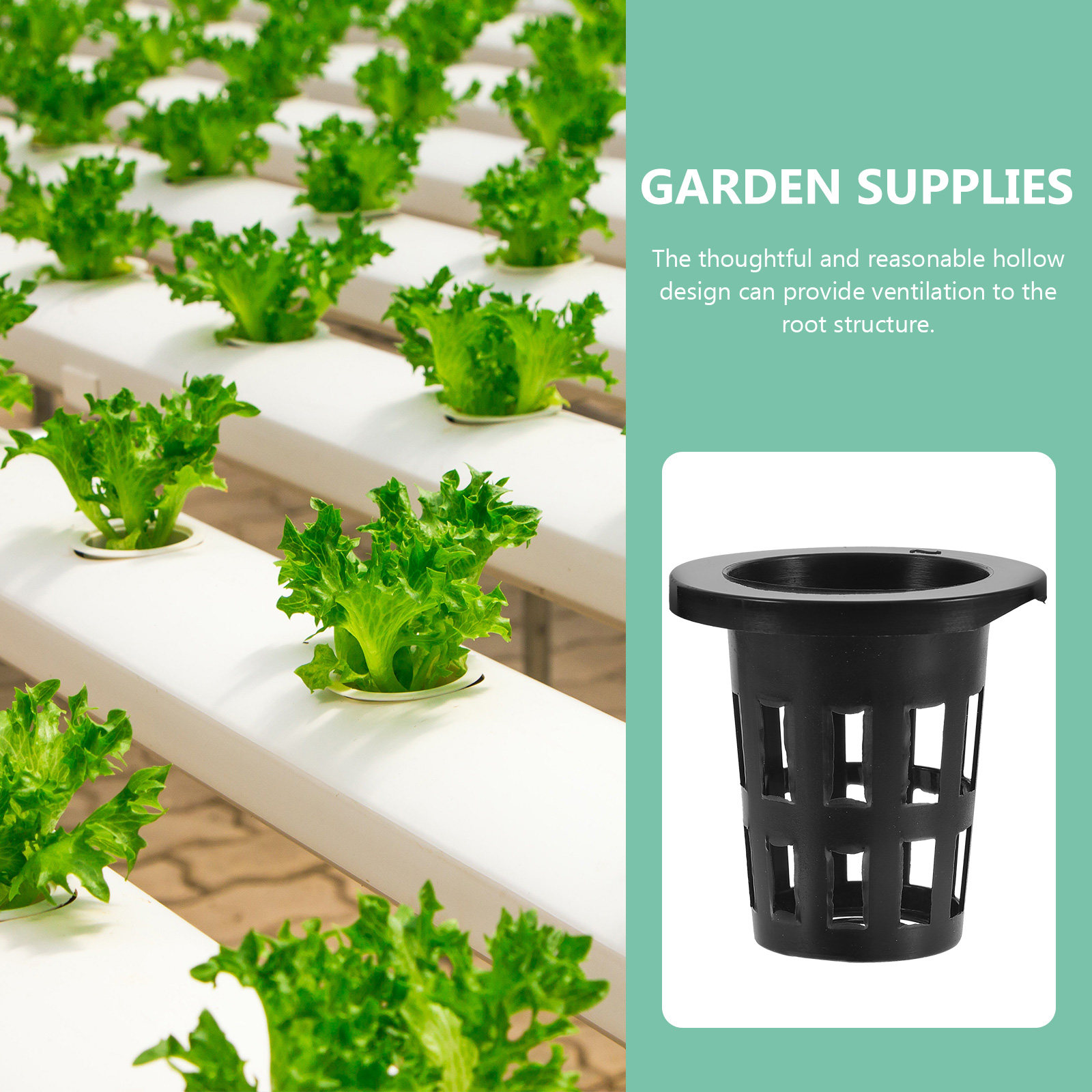 50個入り プラスチック製 植え込み用バスケット、水耕栽培用 - Gardening Tools Vegetables のレビューと価格