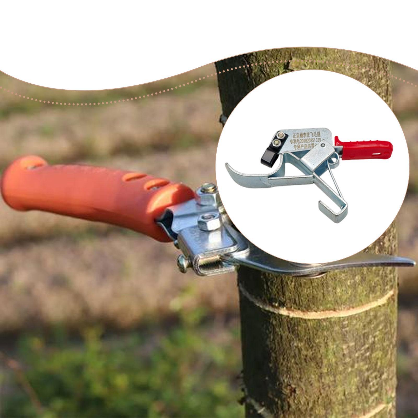 果樹の幹切りツール1個、プロ用ガーデンツール、必須プレミアム - Gardening Tools Essential のレビューと価格